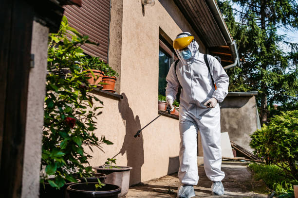 Pest Control for Restaurants in Gainesville, VA