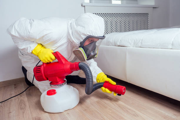 Best Insect Control  in Gainesville, VA